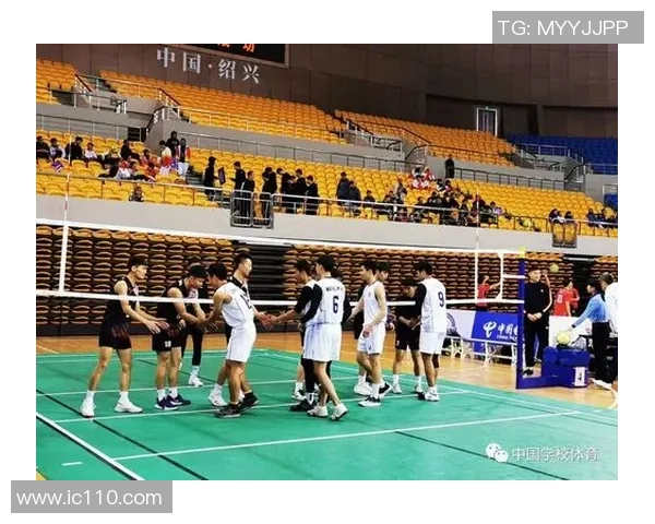 成都排球队的默契配合与战术解析探索排球运动的魅力与团队精神